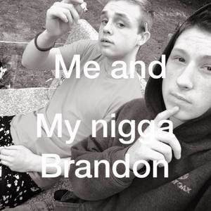 Meet your Posher, Joey